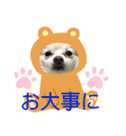 maron 771M（個別スタンプ：16）