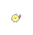 小さくてかわいいひな2（個別スタンプ：17）
