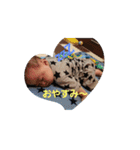 【楓の成長記録】#1（個別スタンプ：1）