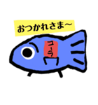 魚きゅん（個別スタンプ：23）