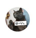 猫のひとりごと♥️（個別スタンプ：2）