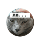 猫のひとりごと♥️（個別スタンプ：5）