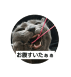 猫のひとりごと♥️（個別スタンプ：6）