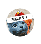猫のひとりごと♥️（個別スタンプ：7）