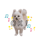 ピース＆メルシー（個別スタンプ：8）