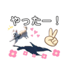 ピース＆メルシー（個別スタンプ：13）