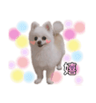 ピース＆メルシー（個別スタンプ：15）