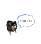 チッぴー（個別スタンプ：7）
