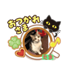 球のあいさつ（個別スタンプ：2）