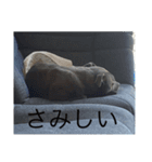 gapanese（個別スタンプ：1）