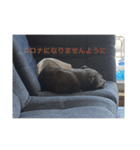 gapanese（個別スタンプ：7）