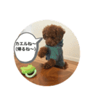 ココア（挨拶編）（個別スタンプ：5）