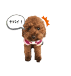 ココア（挨拶編）（個別スタンプ：9）