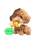 ココア（挨拶編）（個別スタンプ：13）