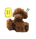 ココア（挨拶編）（個別スタンプ：14）