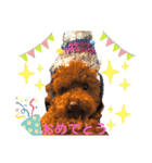 ココア（挨拶編）（個別スタンプ：16）