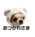 いくらすたんぷ（個別スタンプ：4）