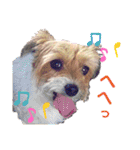 みとくん時々仲間たち（個別スタンプ：25）