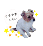 みとくん時々仲間たち（個別スタンプ：28）