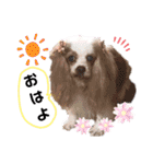 みとくん時々仲間たち（個別スタンプ：31）