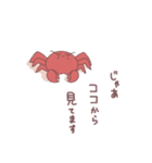 なかよしな かにとたこ（個別スタンプ：16）