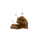 茶色いもふもふのおともだち2（個別スタンプ：4）
