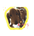 ぽんたろU・x・U（個別スタンプ：7）