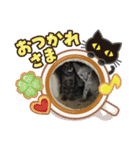 にゃんともあいさつ（個別スタンプ：2）