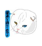 白い猫リアルver（個別スタンプ：1）