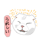 白い猫リアルver（個別スタンプ：2）