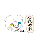 白い猫リアルver（個別スタンプ：3）