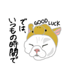 白い猫リアルver（個別スタンプ：4）