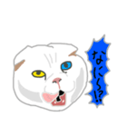 白い猫リアルver（個別スタンプ：5）