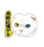 白い猫リアルver（個別スタンプ：8）