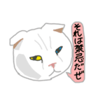 白い猫リアルver（個別スタンプ：9）