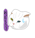 白い猫リアルver（個別スタンプ：10）