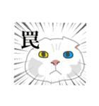 白い猫リアルver（個別スタンプ：12）
