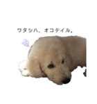 HAKUUU‎´•ﻌ•`（個別スタンプ：3）