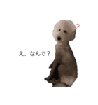 HAKUUU‎´•ﻌ•`（個別スタンプ：4）