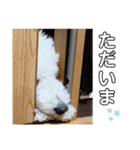 HAKUUU‎´•ﻌ•`（個別スタンプ：7）