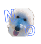HAKUUU‎´•ﻌ•`（個別スタンプ：16）