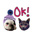 フレブルとロシブ（個別スタンプ：2）