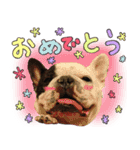 フレブルとロシブ（個別スタンプ：4）