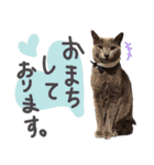 フレブルとロシブ（個別スタンプ：8）