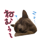 フレブルとロシブ（個別スタンプ：10）