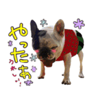 フレブルとロシブ（個別スタンプ：11）