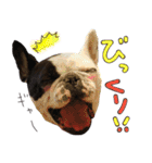 フレブルとロシブ（個別スタンプ：13）