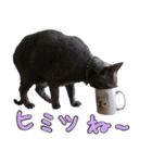 フレブルとロシブ（個別スタンプ：14）