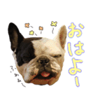 フレブルとロシブ（個別スタンプ：15）