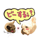 フレブルとロシブ（個別スタンプ：16）